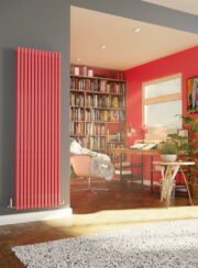 Horseshoe Cubed Vertical Radiator in RAL 300