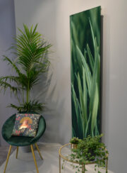 Natural 2 Trends Collection from Cordivari Frame Art Radiator Biophilic ingterior showing green leaves surrounded