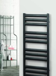 Nausica in W02 Carbon