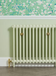 Mercury 2 Column Radiator