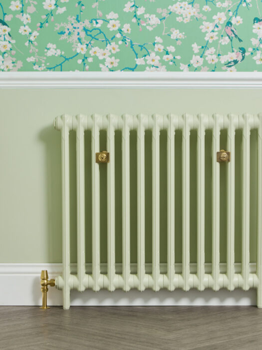 Mercury 2 Column Radiator