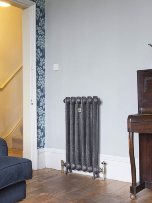 Living room cast iron radiator Rococo I in Charcoal