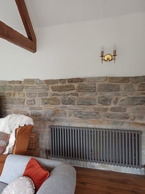 Tuba classic steel column radiator in Balmoral