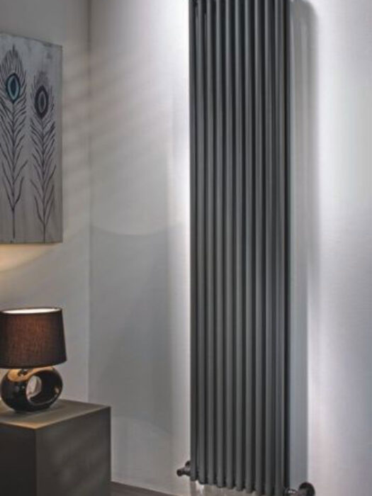 Grey Vertical Horseshoe Radiator Double in Hallway
