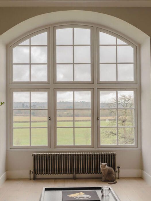 Traditional radiator show in living room with large window