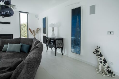 Dock Blue Cinier Greenor XL radiator