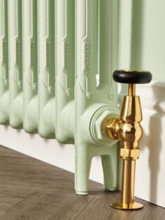 Mercury 2 Column Cast Iron Radiator with Polished Brass Manual Valve and Pipe Cover