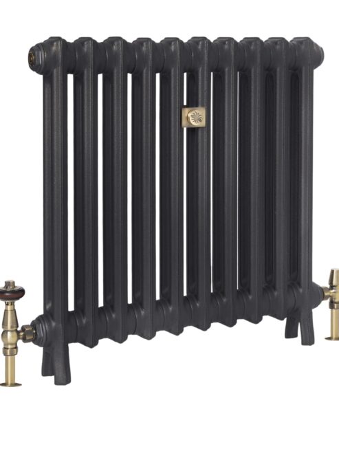 Spartan 2 Column Cast Iron Radiator in Matt Black with Brass Traditional TRV Valve
