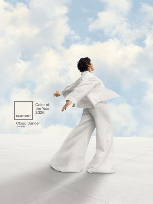 Pantone White Radiator Colour Cloud Dancer